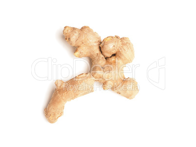 Tasty ginger root on white