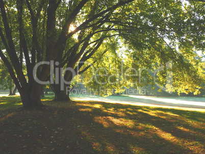 Beautiful autumn sunrise in a park