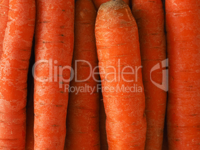 Organic carrots on a table