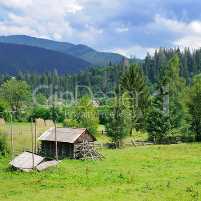 Slopes of mountains and coniferous trees . Rural landscape. Pict