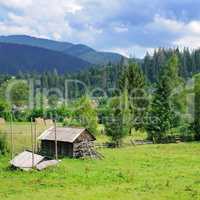 Slopes of mountains and coniferous trees . Rural landscape. Pict