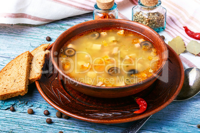 Ukrainian national soup
