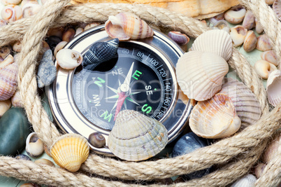 Sea compass and seashells