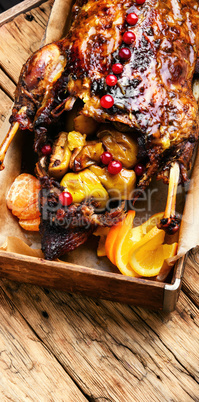 roast duck and oranges