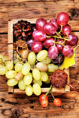 Bunches of fresh grapes