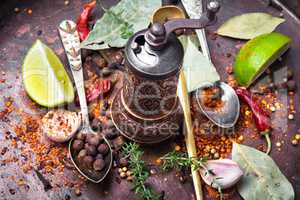 spices and herbs for cooking