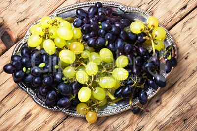 autumn grapes on tray