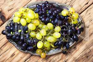autumn grapes on tray