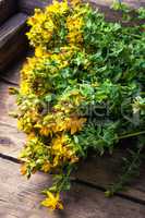 bouquet blooming medicinal herb