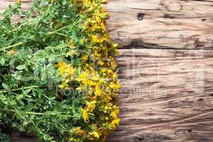 bouquet blooming medicinal herb