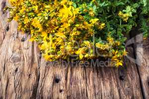 bouquet blooming medicinal herb