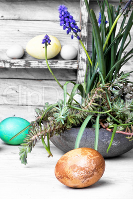 Colorful Easter eggs