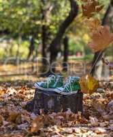 green sneakers on a stump in the midst of flying yellow maple le