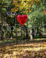 red balloon flies in the autumn park