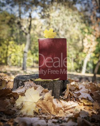 yellow maple leaf and a closed book with a red cover