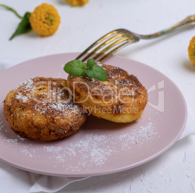 Cottage cheese pancakes on a pink plate, sprinkled with powdered