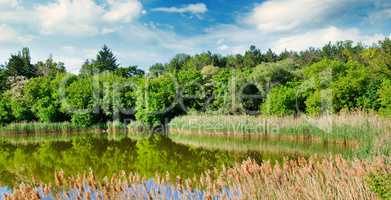 Picturesque lake, summer forest on the banks and sky. Wide photo