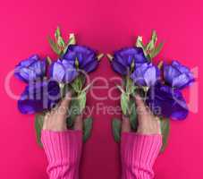 hand in a pink sweater holding a branch of a blue flower