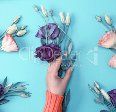 hand  holding a branch of a violet  flower