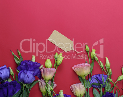 lowers Eustoma Lisianthus and empty paper tag