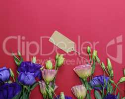 lowers Eustoma Lisianthus and empty paper tag