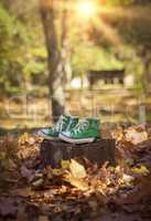 worn green sneakers on a stump