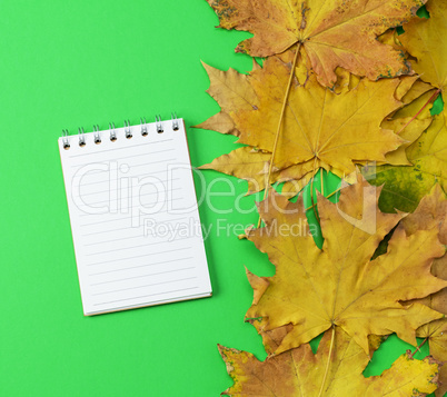Open notebook in line with white blank pages
