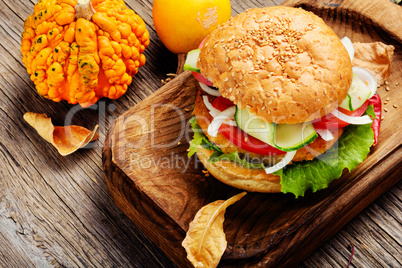 Diet hamburger with vegetables