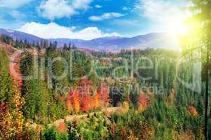 Beautiful autumn landscape. Mountains Carpathians, Ukraine.