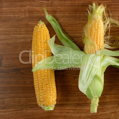 Fresh corn cob on wooden table.