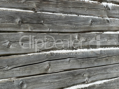 Old wooden wall of hewn natural logs
