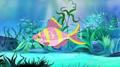 Rose-yellow striped Aquarium Fish in a tank