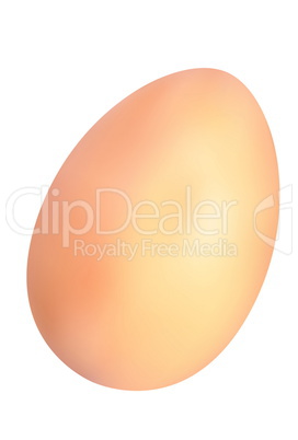 yellow vector hen's egg