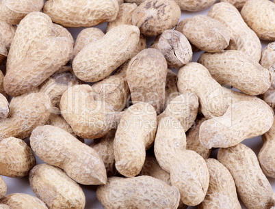 groundnut background