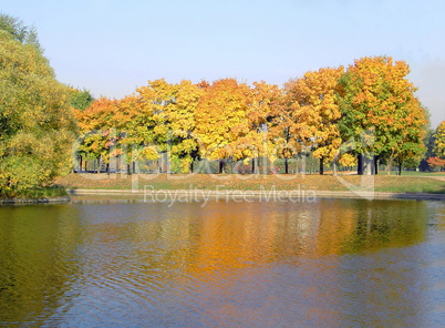 autumn in city park