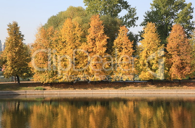 city park in gold fall