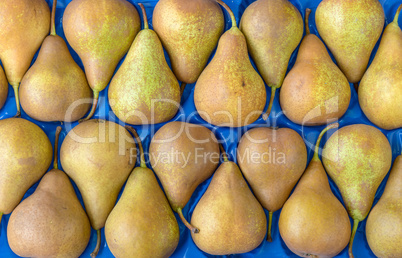 Fresh, yellow pears