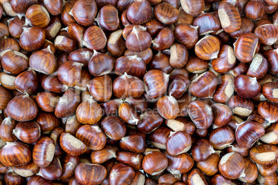 brown sweet chestnuts