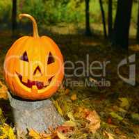 Pumpkin-head against a background of an autumn forest.