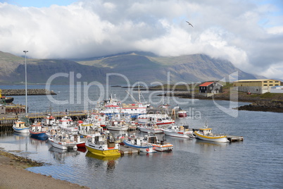 Hafen von Djupivogur, Island