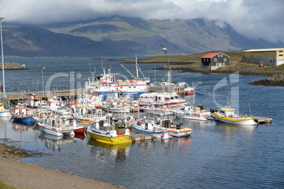 Hafen von Djupivogur, Island