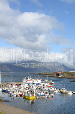 Hafen von Djupivogur, Island