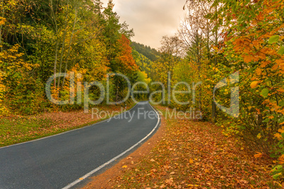 Straße im Herbst