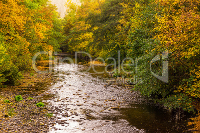 Herbstlicher Fluss