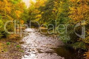 Herbstlicher Fluss