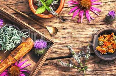 Herbal medicinal herbs and plant