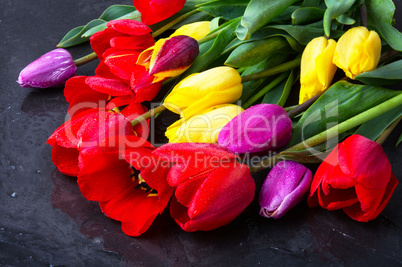 bouquet of spring tulips