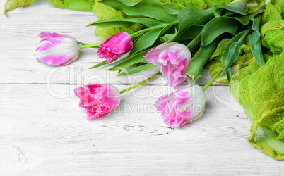 bouquet of spring tulips