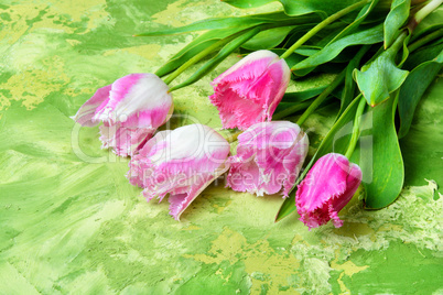 bouquet of spring tulips