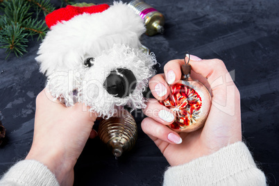 holiday symbolic Christmas dog